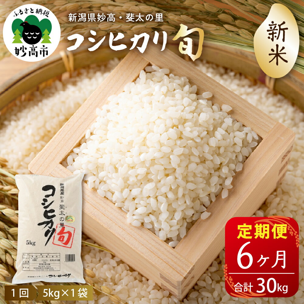 【ふるさと納税】米【定期便】令和7年産 新潟県 妙高産 斐太の里 コシヒカリ 「 旬 」 5kg ×6回 (計30kg) 【発送時期が選べる】 妙高市