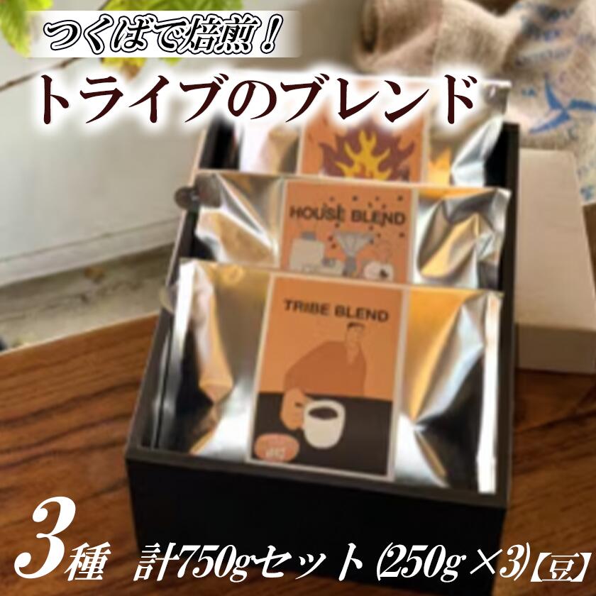 【ふるさと納税】つくばで焙煎!トライブのブレンド3種 計750gセット(250g×3)[豆]
