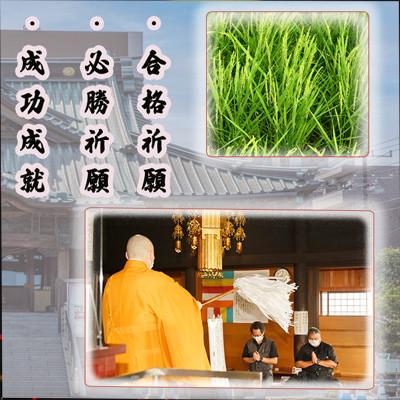 ふるさと納税 川越市 彩のきずな(5kg×1袋)精米 |  | 03