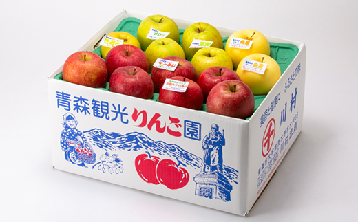 家庭用【8月中旬～随時発送】農家おススメ!旬のりんご約10kg(28玉～40玉入り)【配送不可地域：離島】