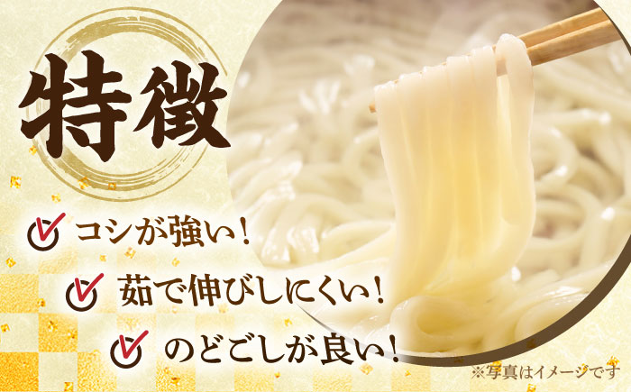 【ふるさと納税限定】＜北海道産小麦100%使用＞本気（マジ）でおいしい手延うどん  9人前 （50g×６束×３袋）/ うどん ウドン 饂飩 麺 めん 乾麺 / 南島原市 /  たなか物産 [SDY03