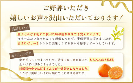 愛媛の旬の柑橘 「紅まどんな」約1.7kg 4L～Lサイズ 6～10個（青マル以上）【2026年12月発送予定】（11-2）紅まどんな 紅マドンナ まどんな マドンナ みかん ミカン 蜜柑 果物 くだ