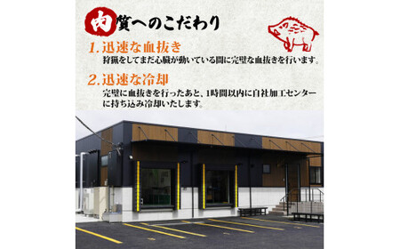 【ぼたん鍋セット】天然猪肉ロース600g 特製みそ付き 3～4人前 ぼたん鍋 京都 ジビエ