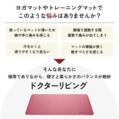 ふるさと納税 加西市 [ドクターリビング]トレーニング冊子付き ヨガマット トレーニングマット[No5698-0740] |  | 01