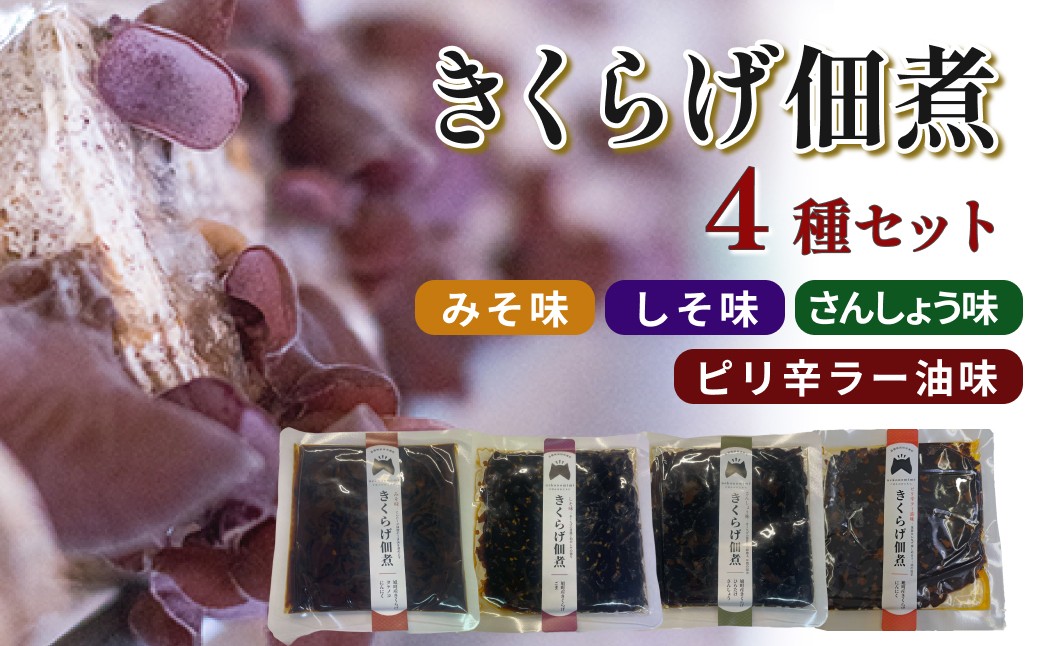 
                  きくらげ佃煮 4種セット（みそ味、しそ味、さんしょう味、ピリ辛ラー油味） きくらげ 木耳 きのこ 佃煮 惣菜 おつまみ ご飯のお供 小分け 常温 【157_0010】
                