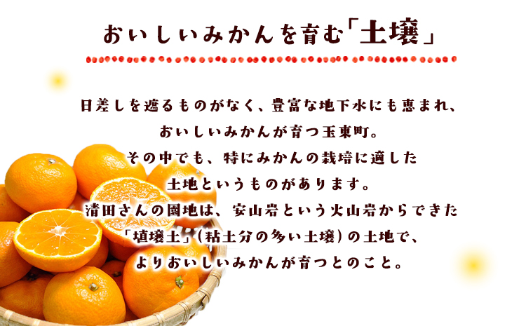 『清晃アグリ』のみかん★約4kg(2S-2Lサイズ) 予約受付中 フルーツ 秋 旬★熊本県玉名郡玉東町 健康な土で育つジューシーおいしいみかん！《11月中旬-12月末頃出荷》