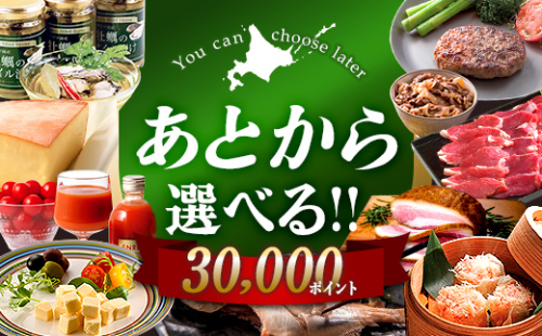【あとから選べるリンベルデジタルギフト】北海道ふるさとギフト 30,000point 北海道 デジタルギフト カタログギフト ギフト券 ギフトリスト チケット ポイント制 後から選べる プレゼント 贈り物 高額 ギフト 人気 おすすめ F6S-671
