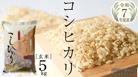 ＼ 2月出荷 ／【令和7年産】コシヒカリ 玄米5kg（5kg×1袋）（茨城県共通返礼品 かすみがうら市産）[EX011sa-02]