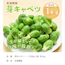 【ふるさと納税】芽 キャベツ 新鮮 野菜 ★予約受付中 『 掛川産 芽キャベツ (袋入り) 500g × 2袋 (1kg) 』1月上旬～2月末ごろにかけて順次発送 〔 健康 人気 野菜 栄養 ビタミン 健康 甘い キャベツ ポトフ シチュー つけあわせ 料理 掛川市 静岡 〕