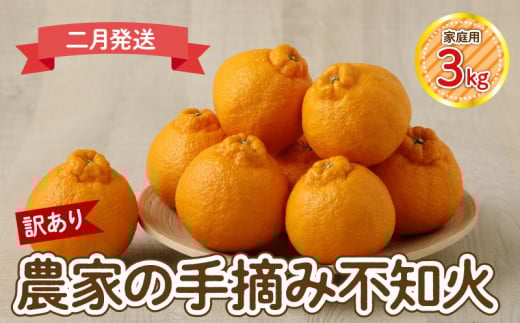 S040-030_【訳あり】≪2月発送≫農家の手摘み　不知火　家庭用　3kg