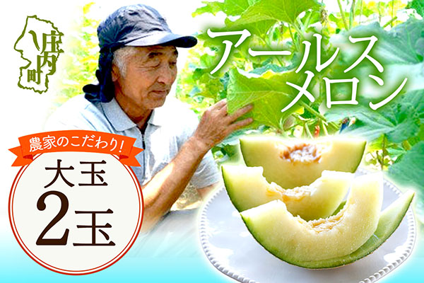 【R8.8月より順次発送】アールスメロン 大玉2玉（入金期限：2026.7.20）