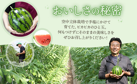 スイカ【２回定期便】ルナ・ピエナスイカ(大玉) 1玉 Wyu-0041