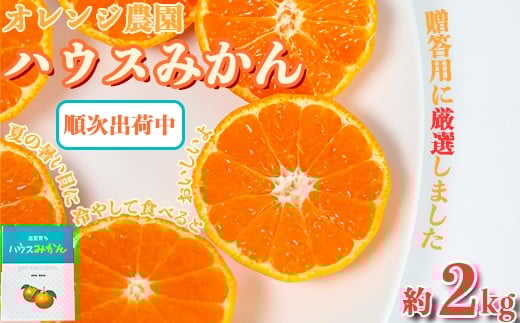 オレンジ農園のハウスみかん　約2kg みかん 柑橘 先行予約 7月 8月 フルーツ ＜114-002_6＞