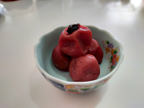 梅干し 小梅 うす塩 200g 5個 計 1kg 南高梅 ないぜしぜん村 梅干 無添加 樹上 完熟 とろける 塩分 11% うめ 梅 ume 手作り うめぼし 伊勢志摩 三重県 南伊勢町