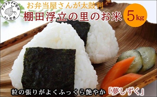 
                  【令和8年産米】お弁当屋さんが太鼓判！棚田浮立の里のお米5kg「夢しずく」( 米 お米 コメ 白米 夢しずく 精米 5kg 5キロ 棚田米 送料無料 )【125-0001】
                