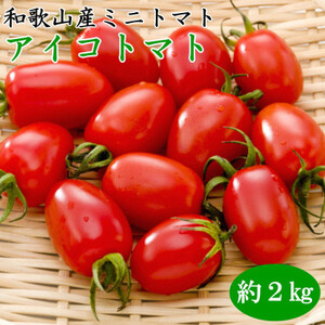 【2026年1月出荷分】和歌山産ミニトマト「アイコトマト」約2kg(S・Mサイズおまかせ)(日高町)【配送不可地域：離島・北海道・沖縄県】【1217983】