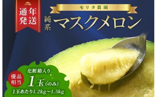 【通年栽培】純系マスクメロン１玉（化粧箱入）【３月発送分】　マスクメロン メロン フルーツ 果物 年間 通年 2026年 先行受付 発送 すぐ 発送時期選べる おすすめ 贈答用 優 高級 化粧箱 箱入り プレゼント 贈り物 ギフト 国産 千葉県 富津市 送料無料 モリタ農園