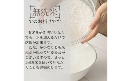 【定期便：無洗米10kg×10ヶ月】ブランド米    魚沼産コシヒカリ 米 こしひかり 新潟 定期