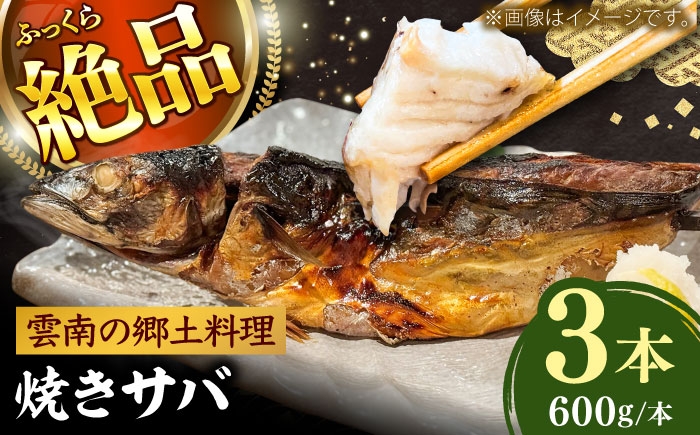 
            焼きサバ3本セット サバ 焼きサバ 魚 大容量 贈り物 ギフト 海鮮 魚貝 プレゼント 島根県雲南市/有限会社田丸屋魚店 [AIEH006]
          