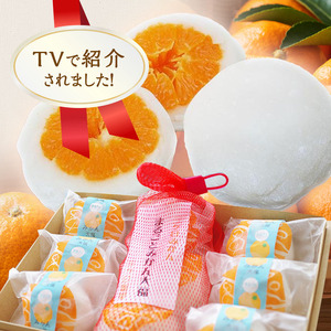 大福 まるごと みかん 詰め合わせ セット フルーツ 和菓子 大福