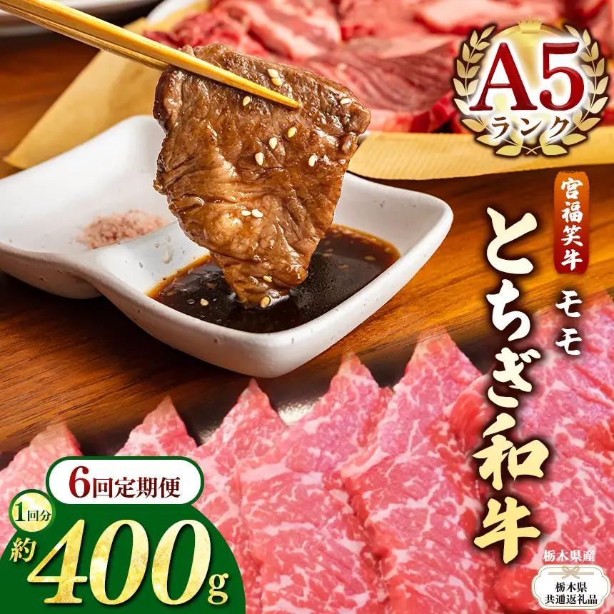 【栃木県共通返礼品 栃木県産】【定期便6回】宮福笑牛(とちぎ和牛) A5 モモ焼き肉 約400g  | 栃木県 下野市