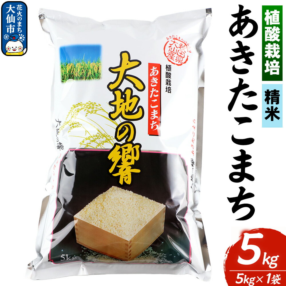 【ふるさと納税】米 植酸栽培 あきたこまち「大地の響」5kg（5kg×1袋）【精米】令和7年産 【秋山商店】 [米 お米 こめ 白米 精米 植酸栽培 あきたこまち 大地の響 ブランド米 秋田県産 大仙市]
