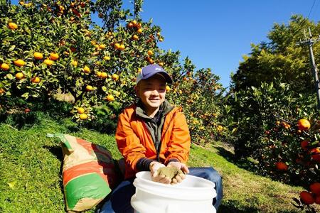 下津蔵出しみかん 約3kg S～Lサイズいずれか 山下農園