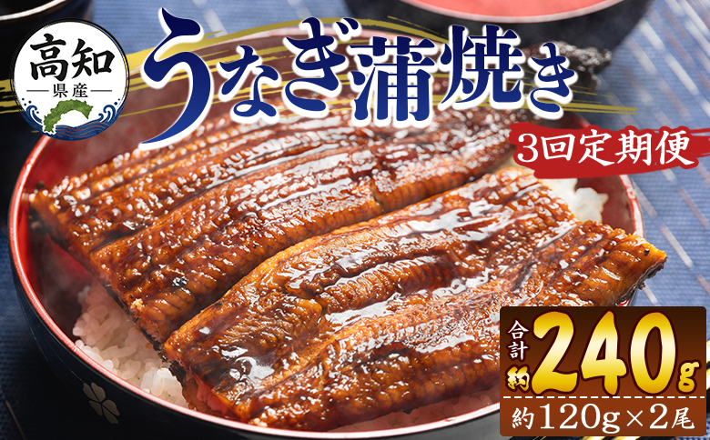 【３回定期便】高知県産養殖うなぎ蒲焼き 100～120g 2尾 うなぎ 魚介 国産 海鮮 魚 かばやき 鰻 ウナギ 惣菜 おかず お手軽 加工品 加工食品 冷凍 Wfb-0038