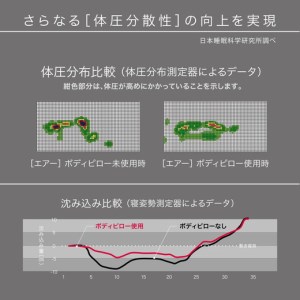 エアーボディーピロー(抱き枕)レギュラータイプ【P253SM2】