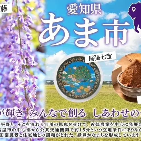 ダンボールトイレ すわれ～る 60回分 凝固剤 処理袋 防災士監修 大容量 家族用 組立不要 防災トイレ 簡易トイレ 非常用トイレ 携帯トイレ  防災 防災グッズ 防災用品 非常用 災害 備蓄 アウト