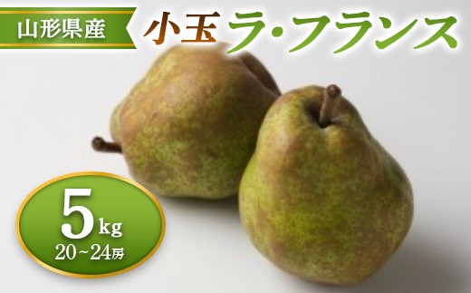 ≪2026年先行予約≫ 山形県産 小玉ラ・フランス 5kg  なし ナシ 梨 デザート フルーツ 果物 くだもの 果実 食品 山形県 FSY-2694