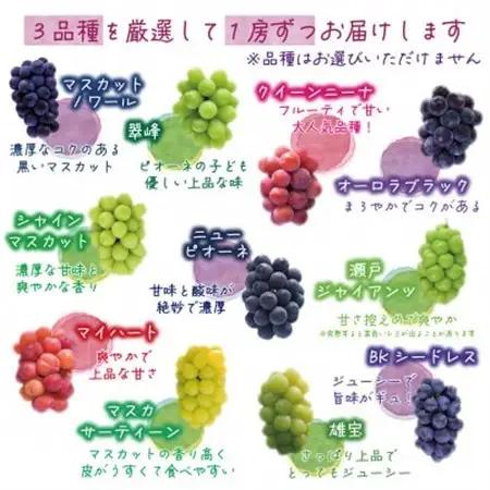 岡山　花笑み農園の『10月おすすめ3種』優品　1.8kg (3房) 3M-2L優【配送不可地域：離島】【1694442】