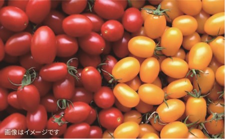 【全3回定期便】【福岡県 糸島産】朝採れ 野菜 セット（10品前後) 《糸島》【オーガニックナガミツファーム】 [AGE006] 野菜セット 野菜 やさい サラダ 詰め合わせ トマト とまと