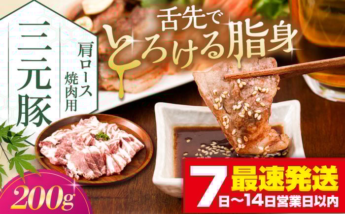 
            三元豚 肩ロース 焼肉用 200g《喜茂別町》【平田牧場】 肉 豚肉 ロース 焼肉 スライス 冷凍 冷凍配送  北海道 平田牧場 [AJAP131]
          