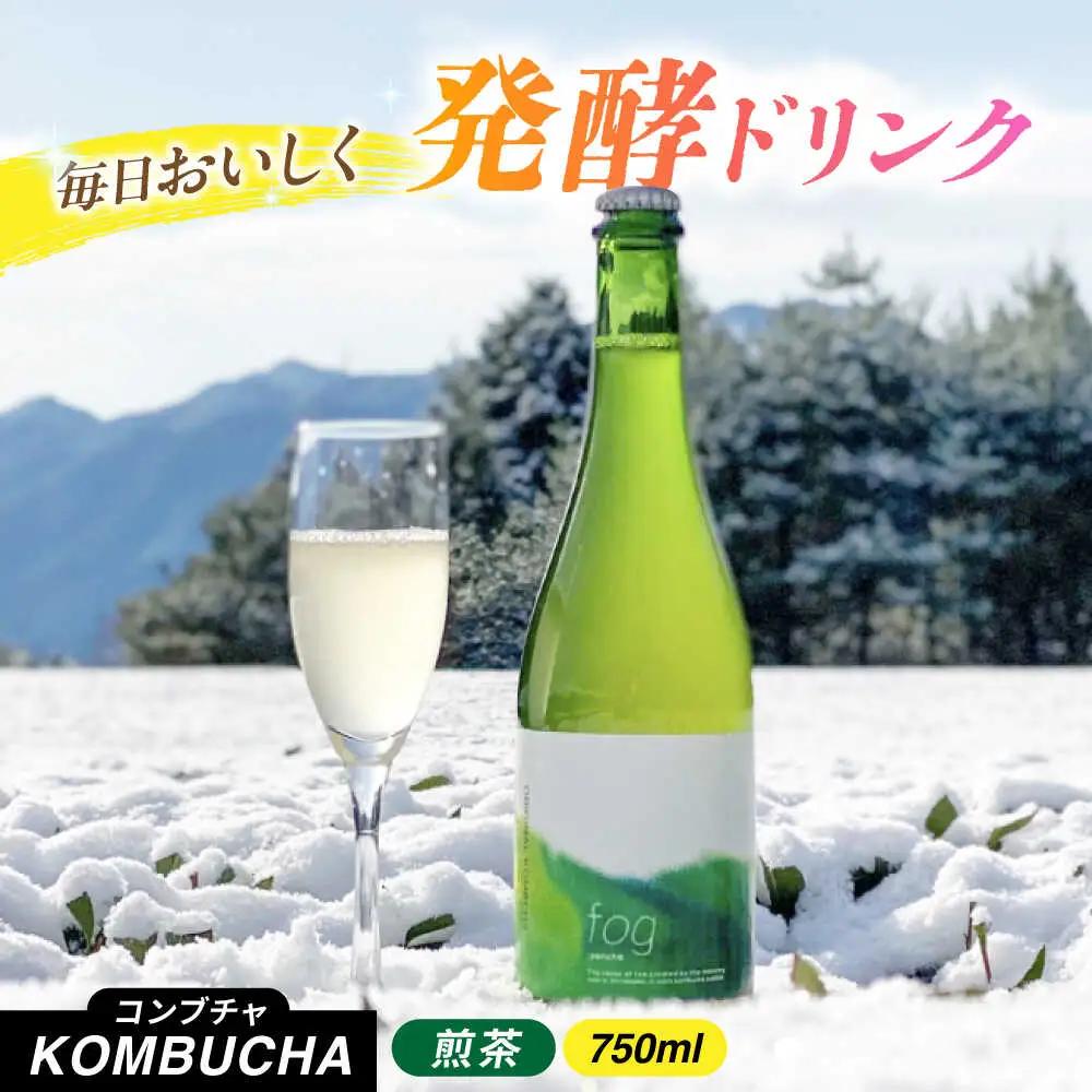 煎茶コンブチャ　fog-sencha 750ml オリジナルコンブチャ お茶 発酵飲料 腸活 白川町 / 新田製茶[AWBK006]