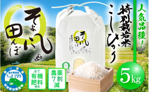 令和7年産  特別栽培米 コシヒカリ 5kg 福井県産米（有機肥料100% 農薬7割減）「そよ風田んぼ」【令和7年産 人気品種】 [e10-a019]