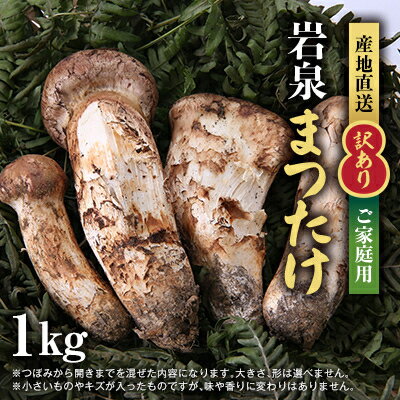 【ふるさと納税】【2026秋発送】【訳あり】ご家庭用 岩泉まつたけ 直送 1kg【配送不可地域：離島】【1423396】