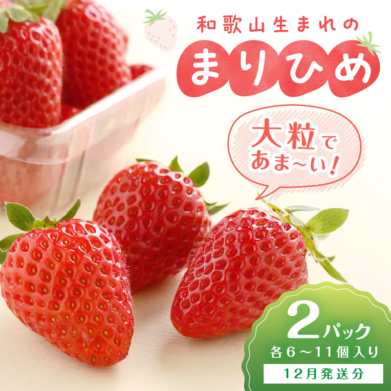 和歌山生まれのイチゴ（まりひめ）大粒2パック12月発送分《先行予約》【0049-4】