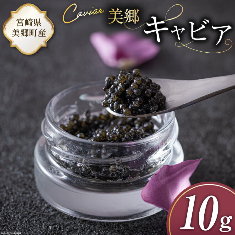 【ふるさと納税】美郷 キャビア チョウザメ 10g [宮崎キャビア 宮崎県 美郷町 31az0010-NEW] きんかん キンカン 金柑 フレーバー 冷凍 宮崎県産