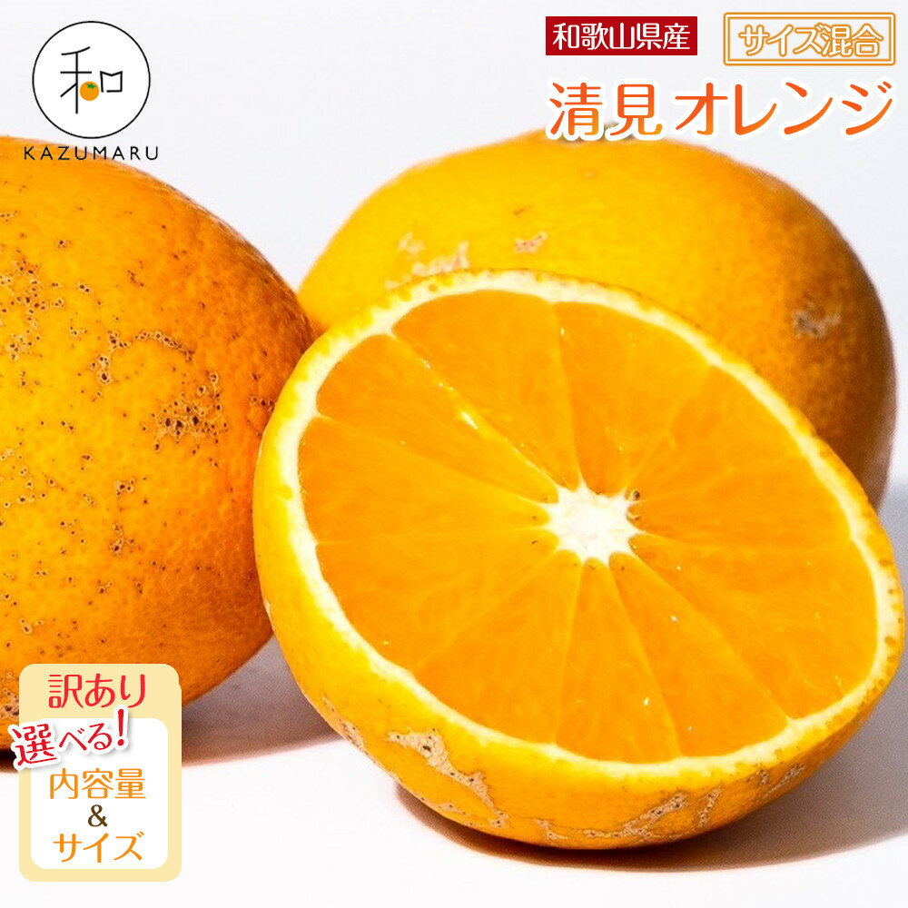 【ふるさと納税】【選べる容量・サイズ】 先行予約 訳あり 森本農園の手選別 清見オレンジ2kg～10kg 和歌山県産 サイズ混合 ［北海道・沖縄・離島配送不可］ | 那智勝浦町 清見オレンジ 柑橘 フルーツ 果物 人気 おすすめ 甘い ジューシー 送料無料 ふるさと納税