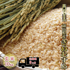 3ヵ月 定期便 令和6年度産 岡山県産 きぬむすめ 玄米 10kg 米 お米 コメ おこめ 3回 岡山