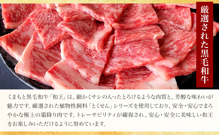 熊本県産 黒毛和牛 サーロイン ステーキ 計600g（200g×3）《90日以内に出荷予定(土日祝除く)》 国産 牛肉---039-2008--