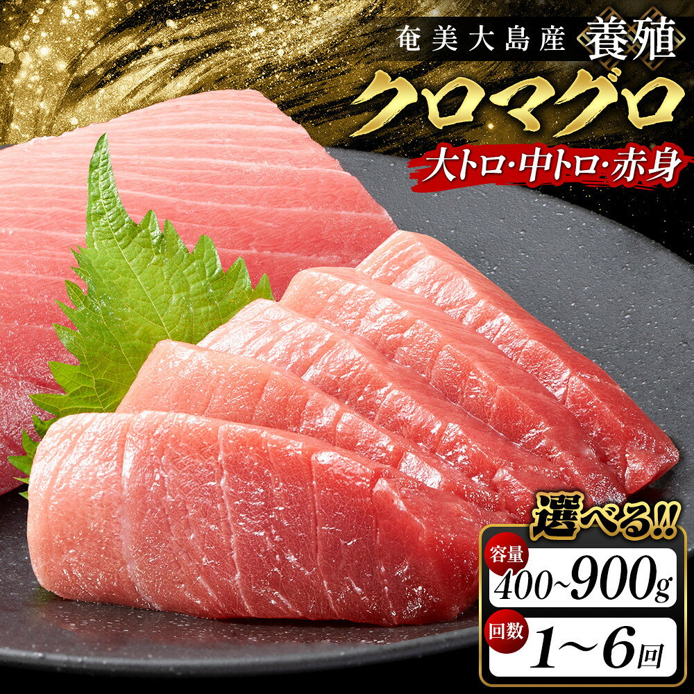 【ふるさと納税】【内容量、お届け回数が選べる】奄美大島産養殖クロマグロ 2柵セット400g以上(1回のみ)～4柵セット900g以上(6回定期便) | クロマグロ 黒マグロ 赤身 刺身 養殖 クロマグロ 海鮮丼 手巻き寿司