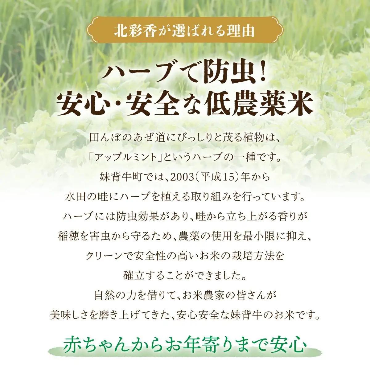令和8年産 妹背牛産米 食べ比べセット 定期便 10kg×3回 2027年3月発送