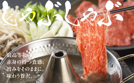 【ふるなび限定】 [A5等級] 飛騨牛モモ すき焼き しゃぶしゃぶ用 600g [mt620] すき焼き トキノ屋食品 FN-Limited-PR