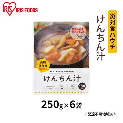 ふるさと納税 大河原町 【防災】災対食パウチけんちん汁  250g×6袋 アイリスオーヤマ[53751181]