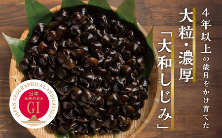 青森県　小川原湖産大和しじみ(冷凍)150g×10p