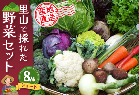 里山で採れた野菜セットショート 8品 【有機野菜 おまかせ野菜セット イタリア野菜 西洋野菜】(H078101)