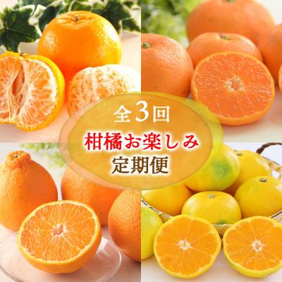 ふるさと納税 長崎市 【発送月固定定期便】柑橘 お楽しみ定期便 みかん ポンカン 不知火など フルーツおまかせ便全3回