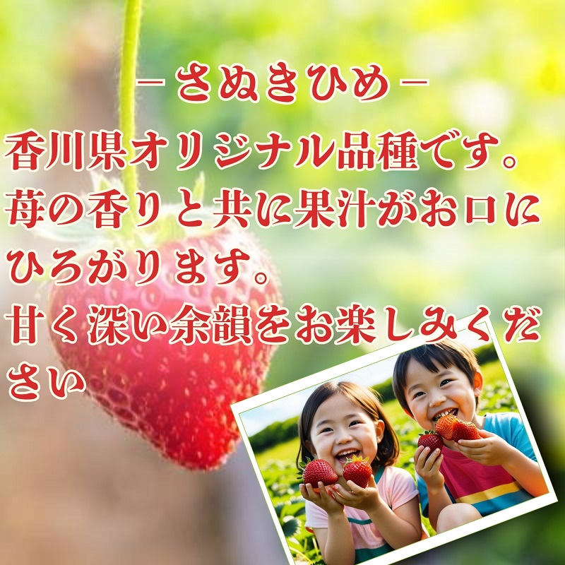 【2月より発送開始】いちご「さぬきひめ」大粒 約1kg 【配送不可エリア】北海道、 沖縄県、離島エリア 果物類 苺 イチゴ フルーツ 4パック 